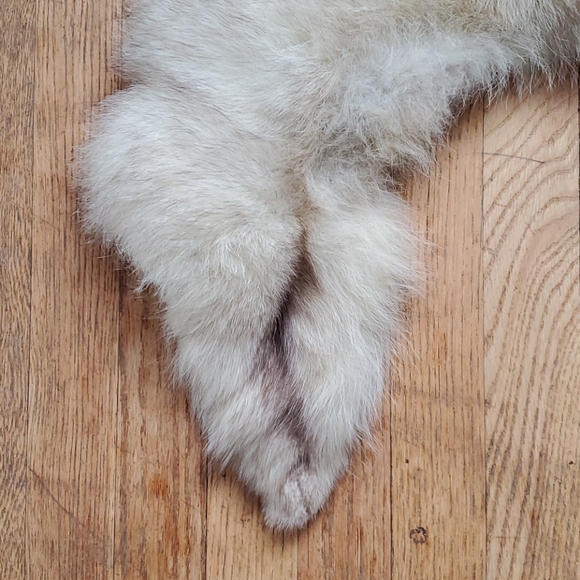 Vintage fur collar fox or coyote - Picture 6 of 10